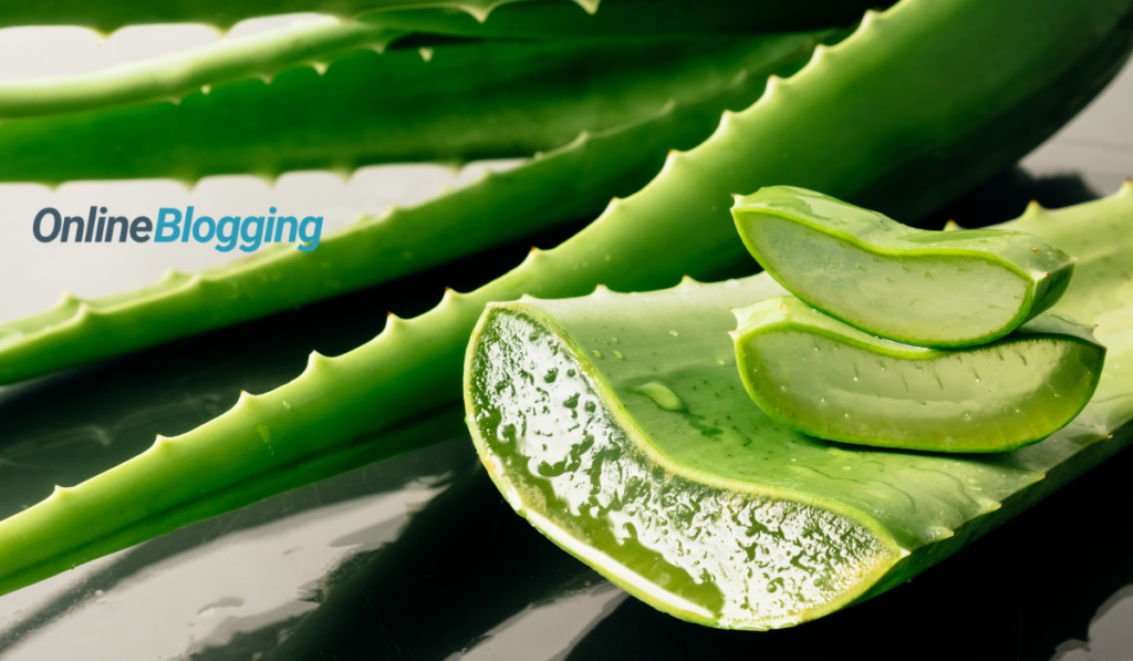 Aloe vera Dandruff Treatment